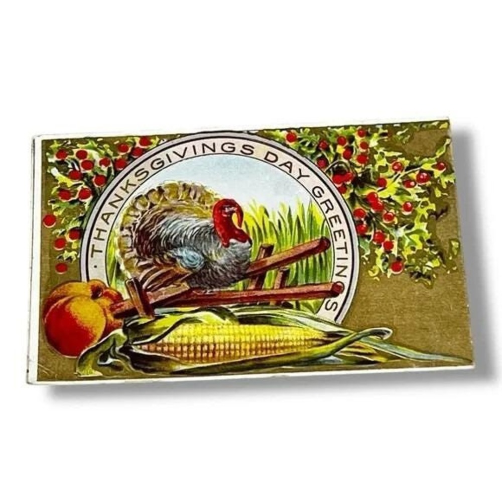 Postcard Thanksgiving Day Greetings Embossed Gilded Divided Back c1911 C370